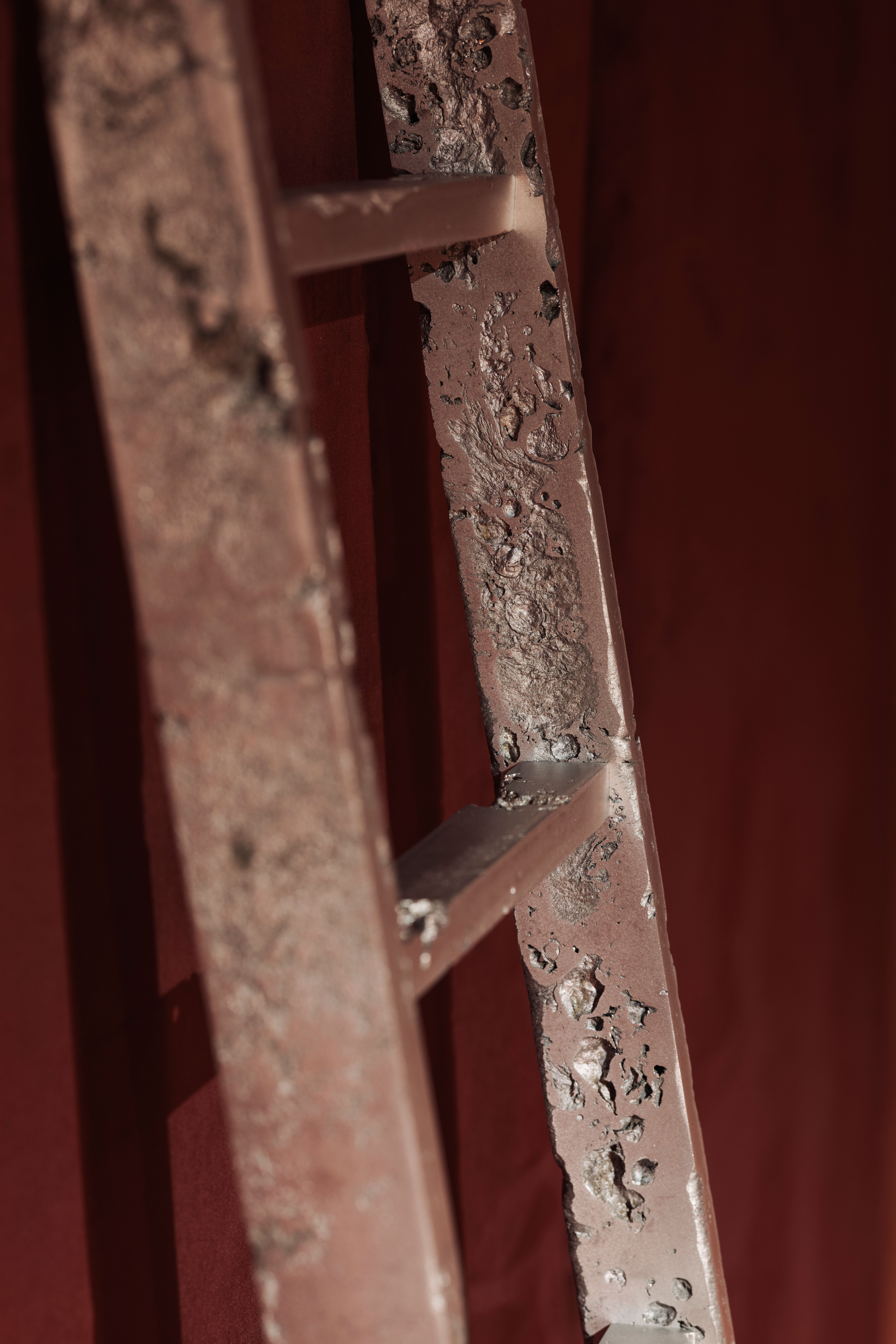 Six Step Ladder 2024