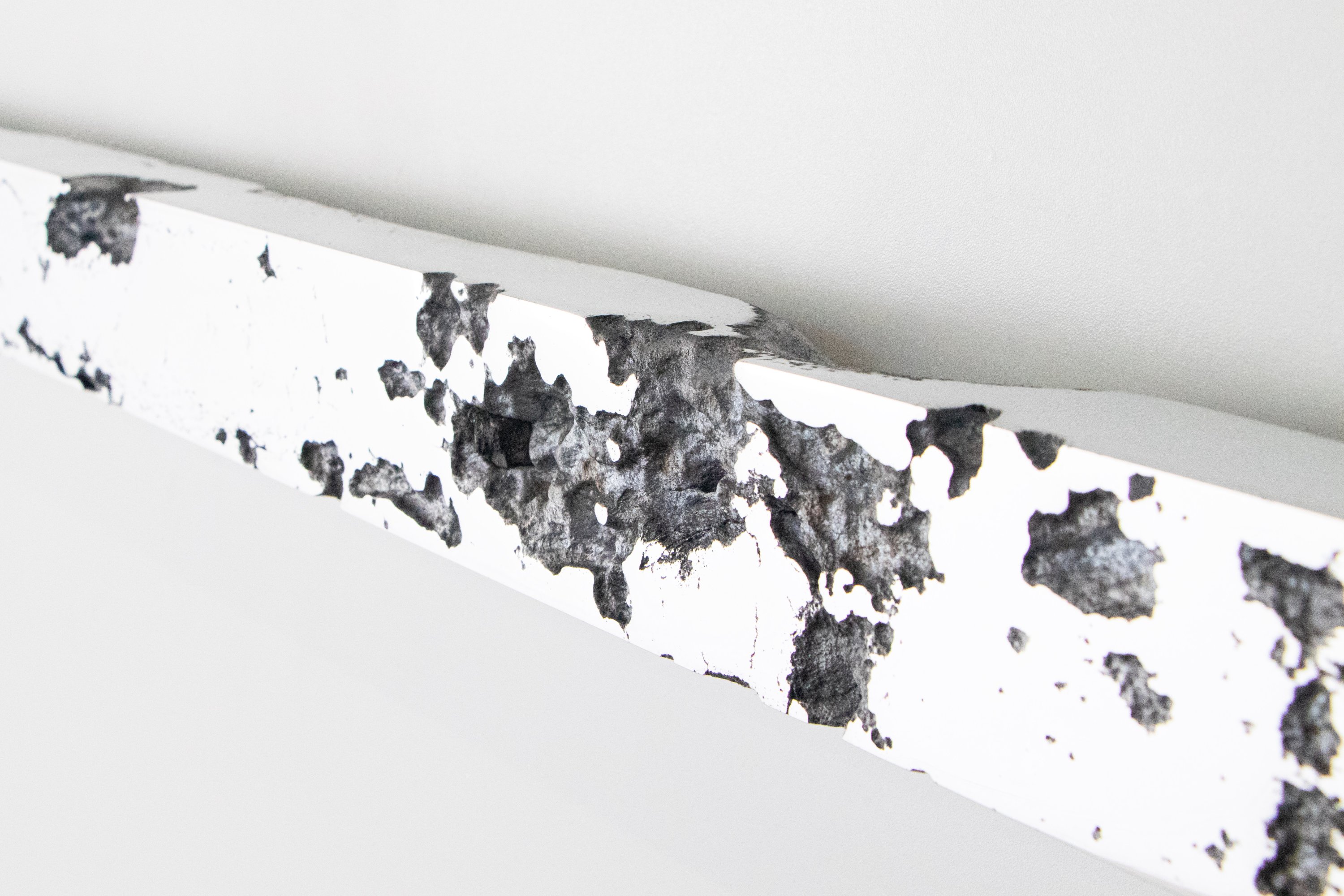 Panorama 1600 01 2025 for 88 GALLERY London