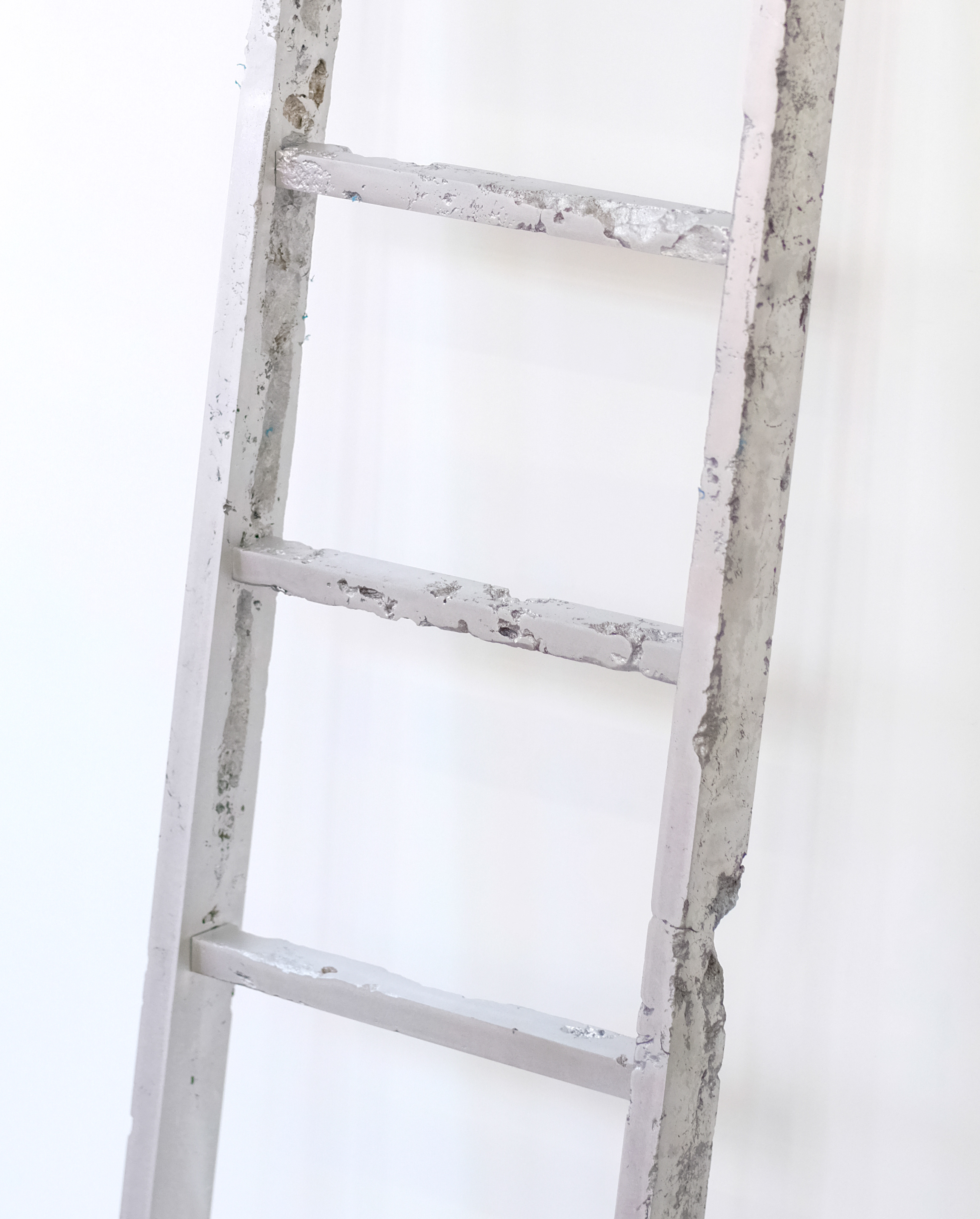 Six Step Ladder 2024