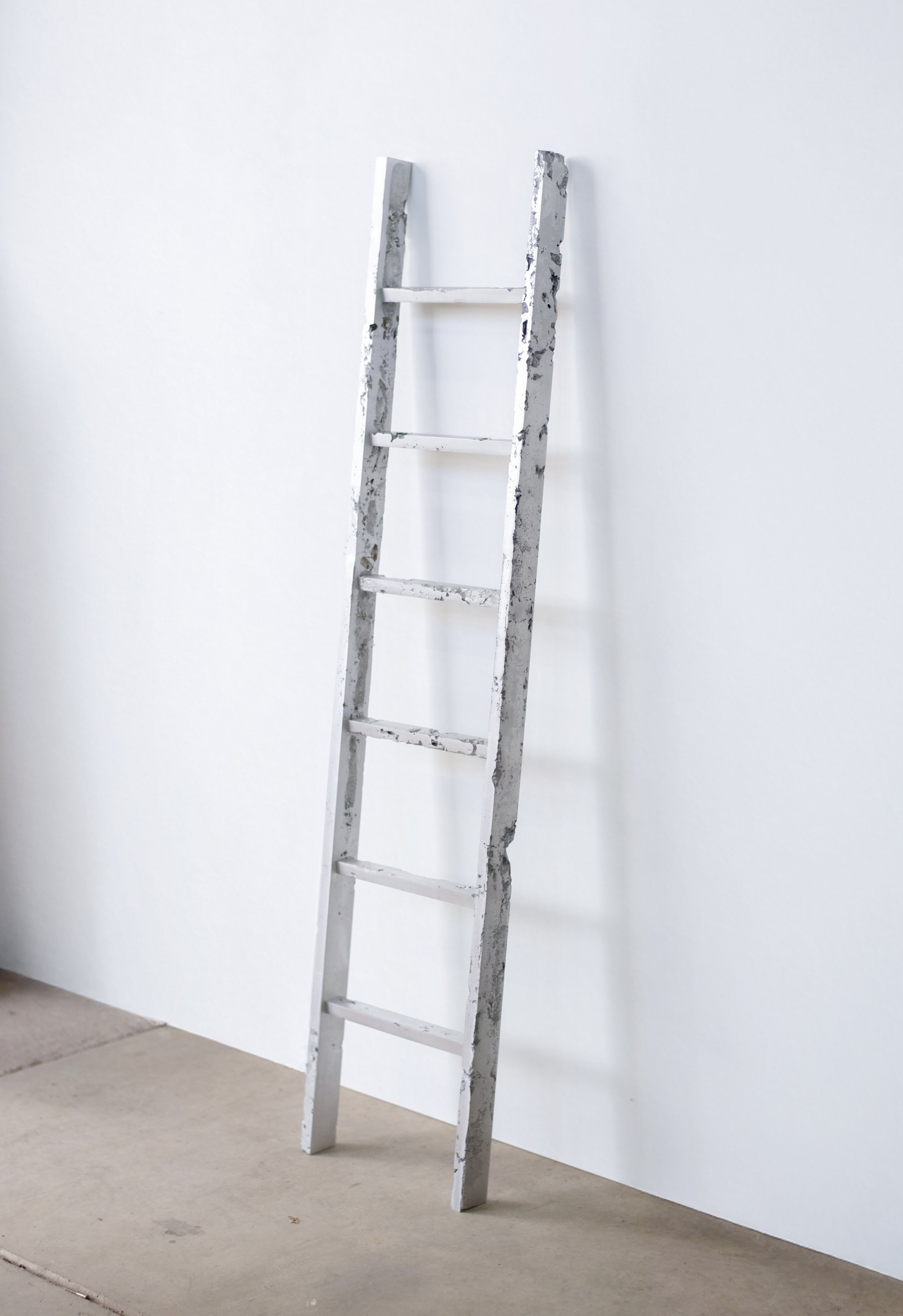 Six Step Ladder 2024